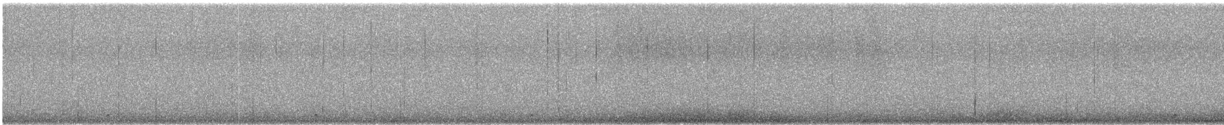 Gray-breasted Seedsnipe - ML647908647