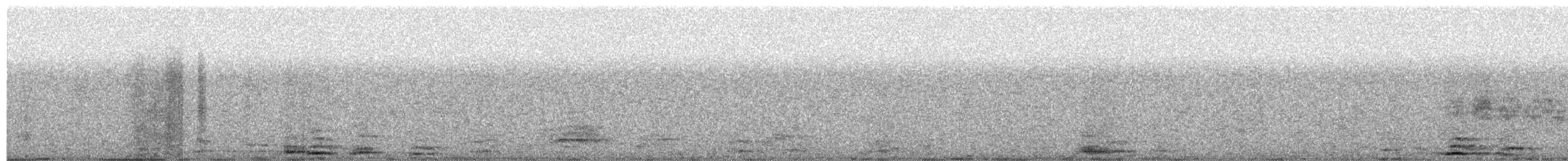 hummingbird sp. - ML647909485