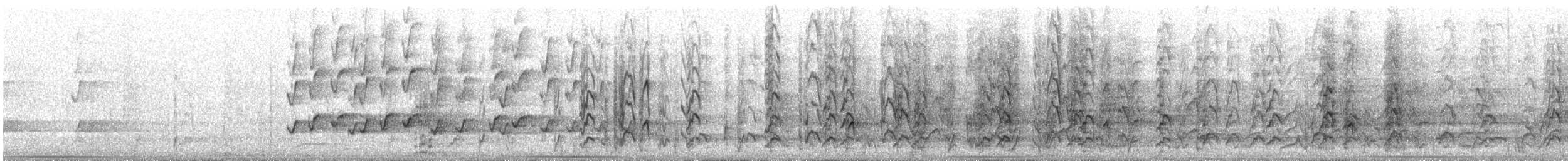 Australian Ringneck - ML647909852