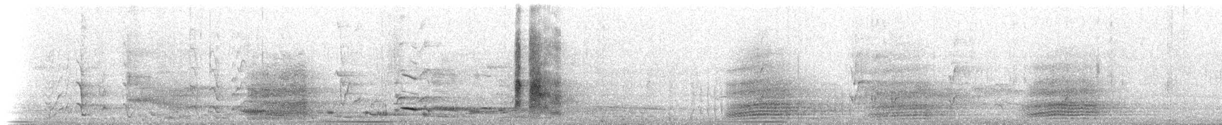 Corvino Apóstol - ML647909896