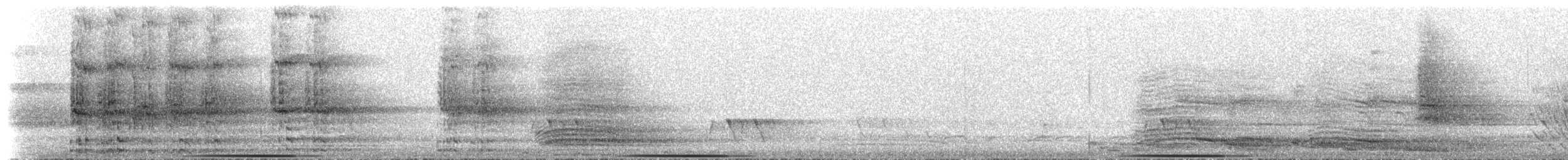 Paloma Bronce Común - ML647909917