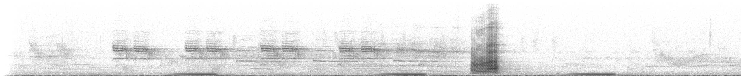 Cuervo Australiano - ML647909921