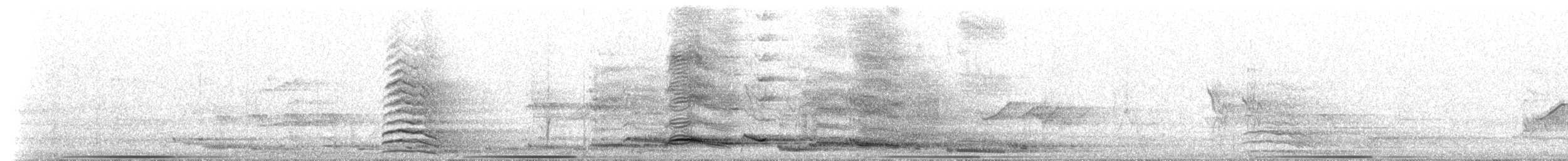 Verdugo Flautista (dorsinegro) - ML647909932