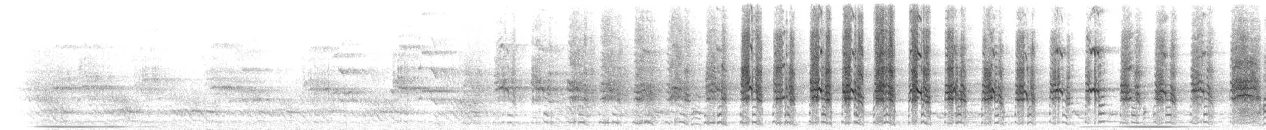 Cacatúa Galah - ML647909934