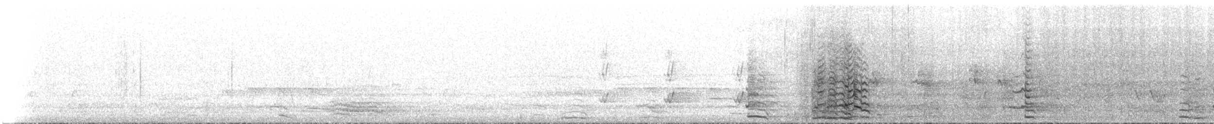 Cacatúa Sanguínea - ML647909941