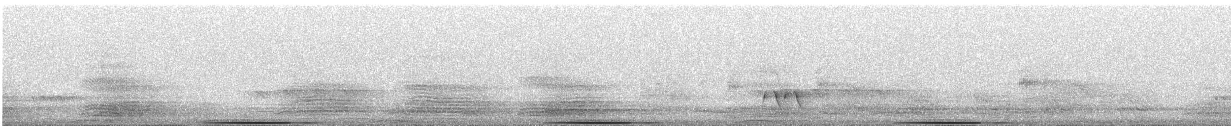 Paloma Bronce Común - ML647909945