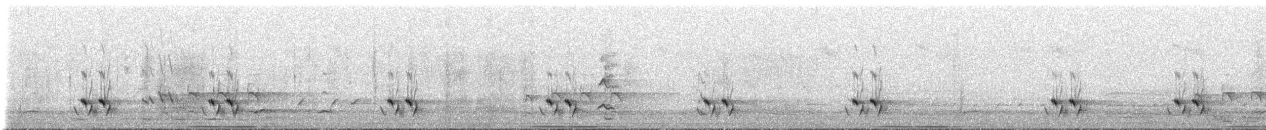 Pardalote Estriado (substriatus) - ML647909949