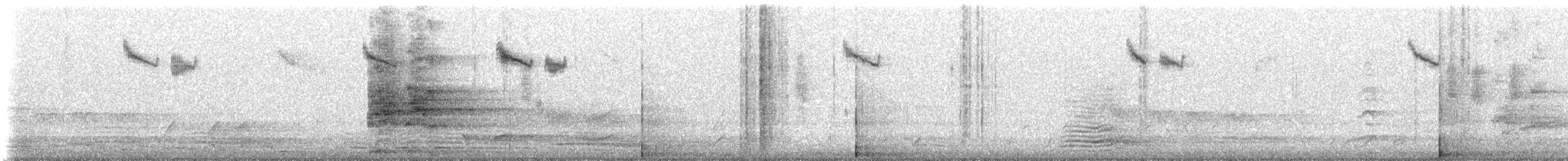 Paloma Bronce Común - ML647909967