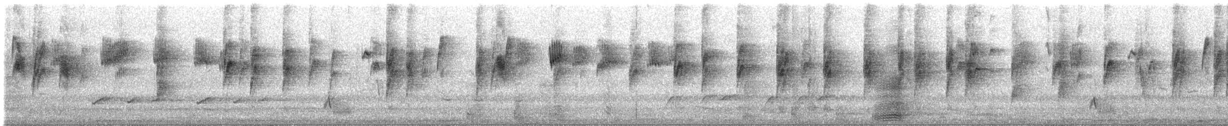 Gerigón Piquicorto - ML647909985