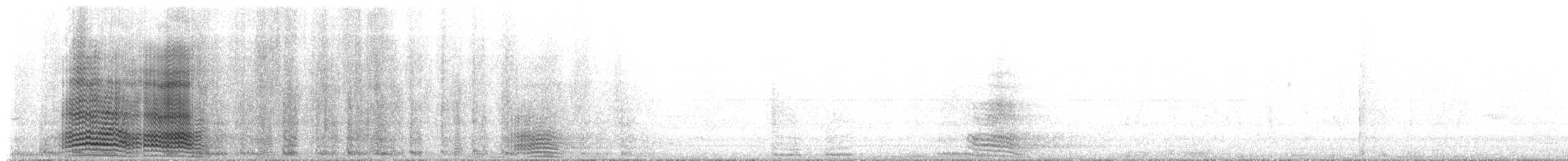 Cuervo Australiano - ML647909997