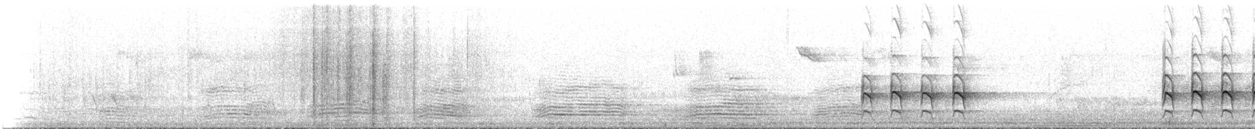 Alción Sagrado (Australasia) - ML647910018