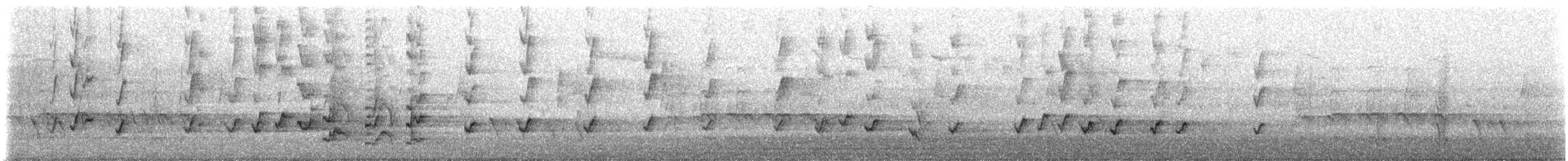 Perico de Port Lincoln - ML647910023