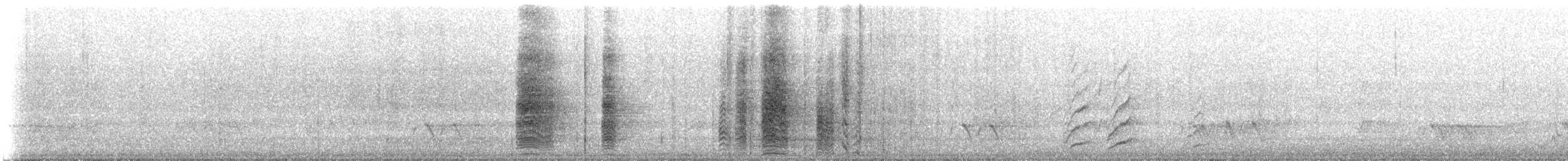 Oruguero Carinegro - ML647910040