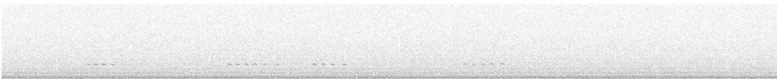 Zarapito Trinador Euroasiático - ML647910099