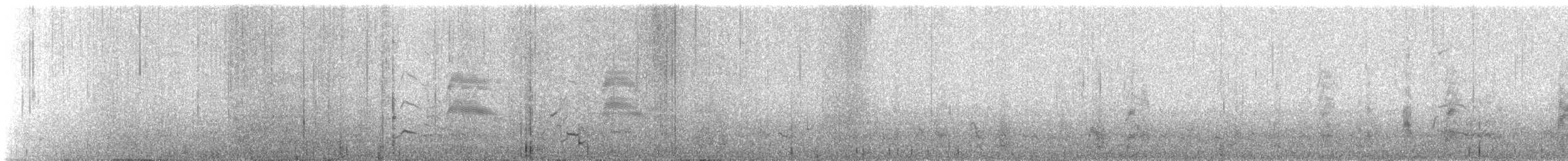 Gaviota de Bonaparte - ML647910121