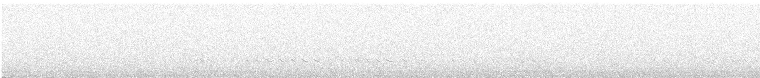 Archibebe Claro - ML647910148