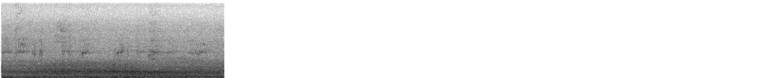 Least Tern - ML647915545