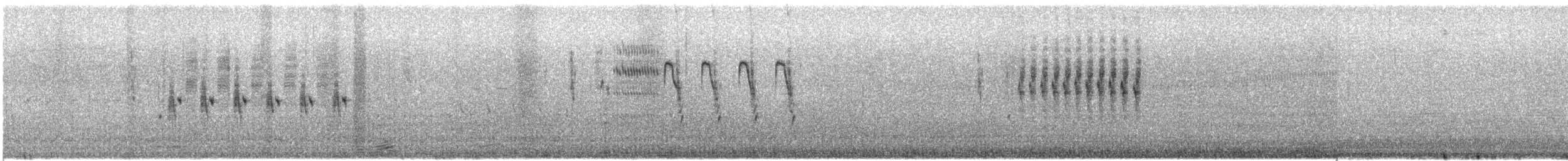 Grass Wren - ML647918488