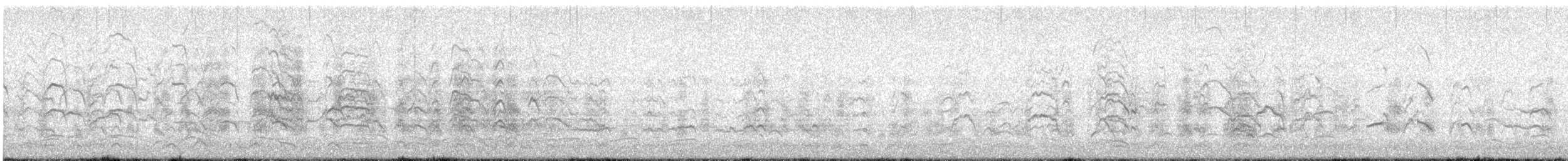 ボナパルトカモメ - ML647919082