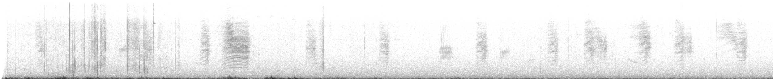 Southern House Wren - ML647919320