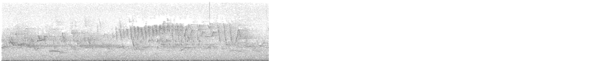 Northern Parula - ML647920420