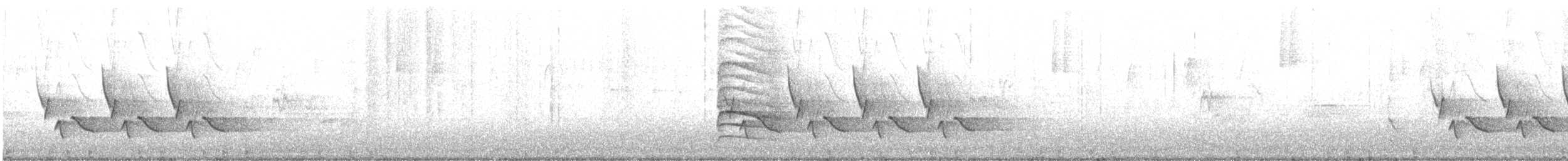 Carolina Wren - ML647921125