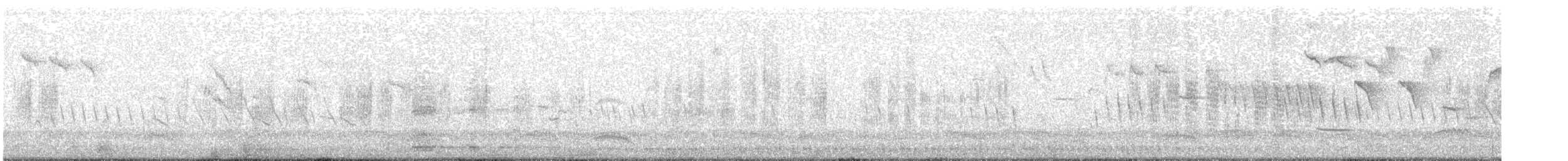 Bank Swallow - ML647921518