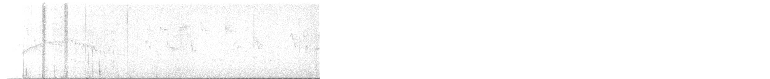 White-banded Tyrannulet - ML647925012