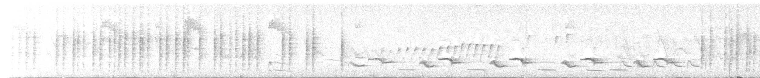 Peruvian Wren - ML647925068