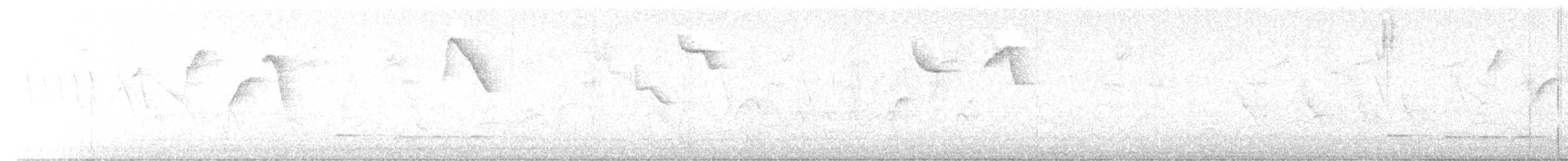 Bay Antpitta - ML647925133