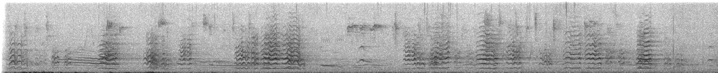 Long-billed Corella - ML647927559