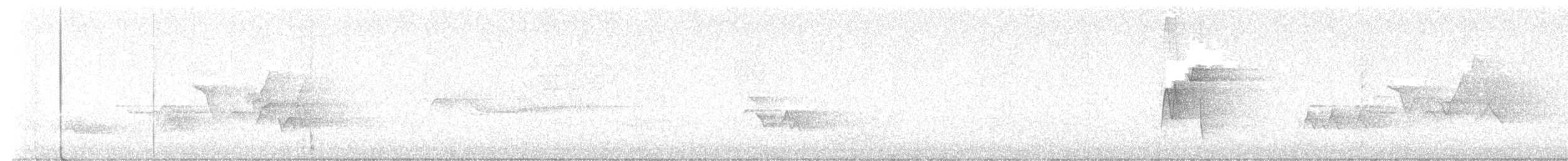 חטפית ירקרקה - ML647931504