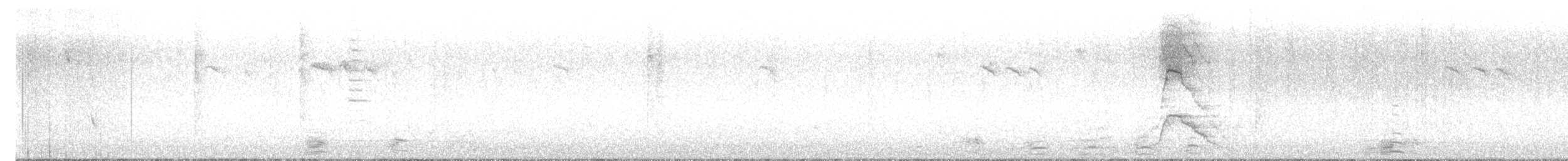 Silbón Europeo - ML647947554