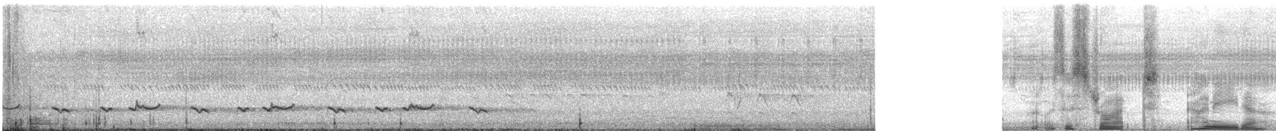 Strichelhonigfresser - ML647947832