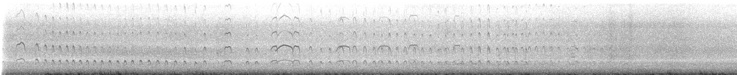 שלצדף אמריקני - ML647949178