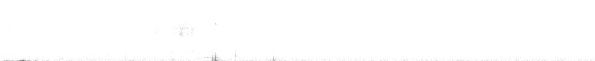 Коклас - ML647952584