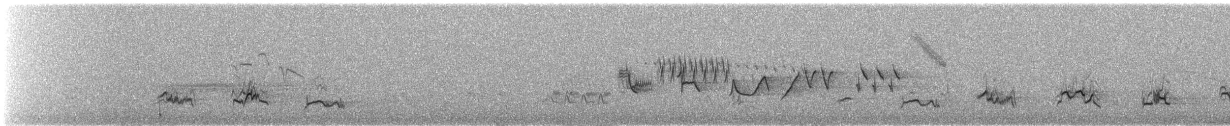 American Robin - ML647956542