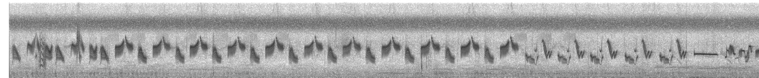 Oriental Skylark - ML647958670