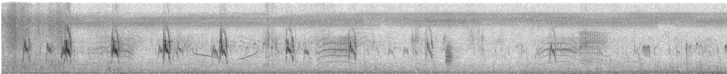 Richard's Pipit - ML647959011