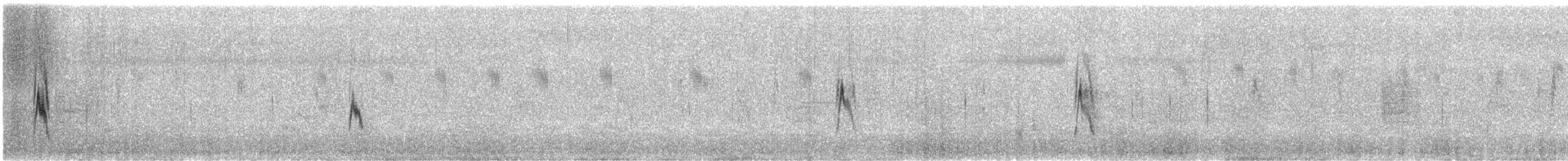 Richard's Pipit - ML647959175