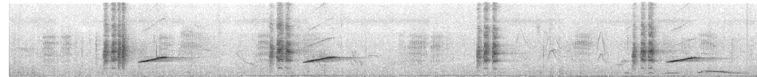 Black Drongo - ML647959227