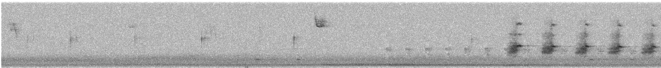 Virginia Rail - ML647959566