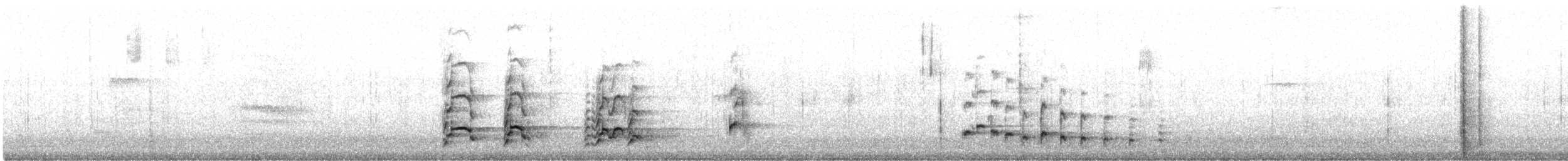 Bald Eagle - ML647967549