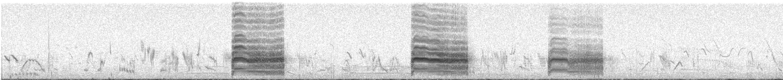 Речная крачка - ML647972579