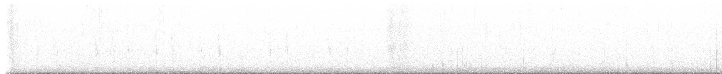 Northern Shoveler - ML647973576