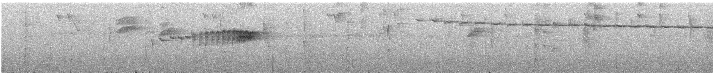 Chocówaldsänger - ML647974912