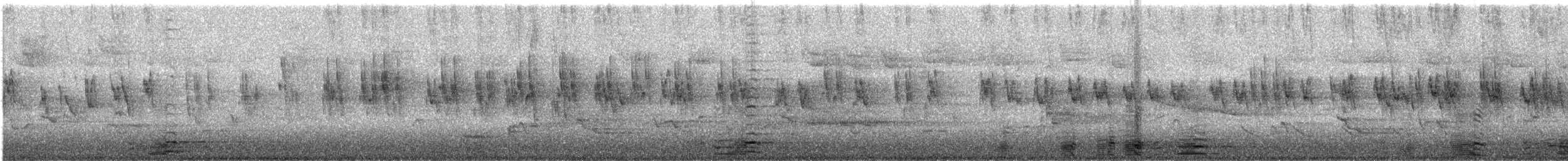 vlaštovka stromová - ML647975392