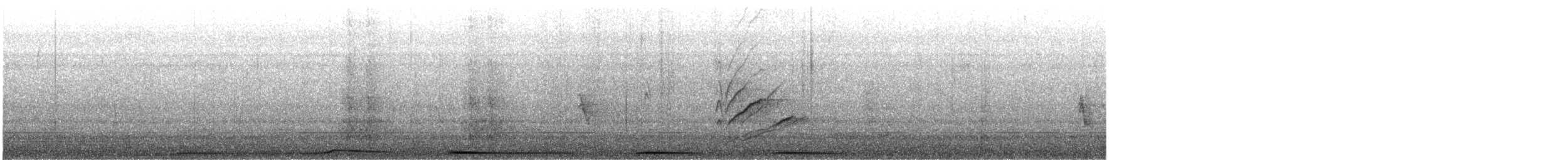 ナゲキバト - ML647987451