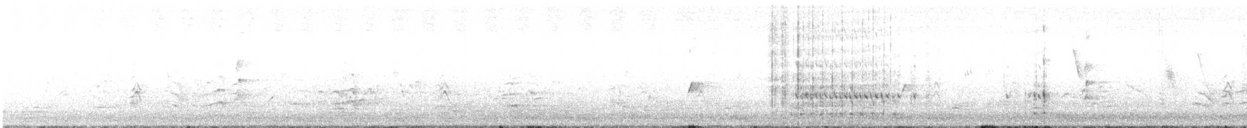 Crested Pigeon - ML647994191