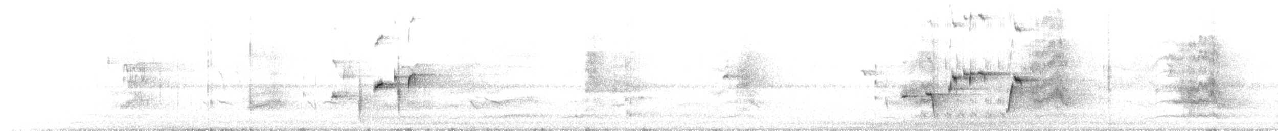 Willie-wagtail - ML647997589